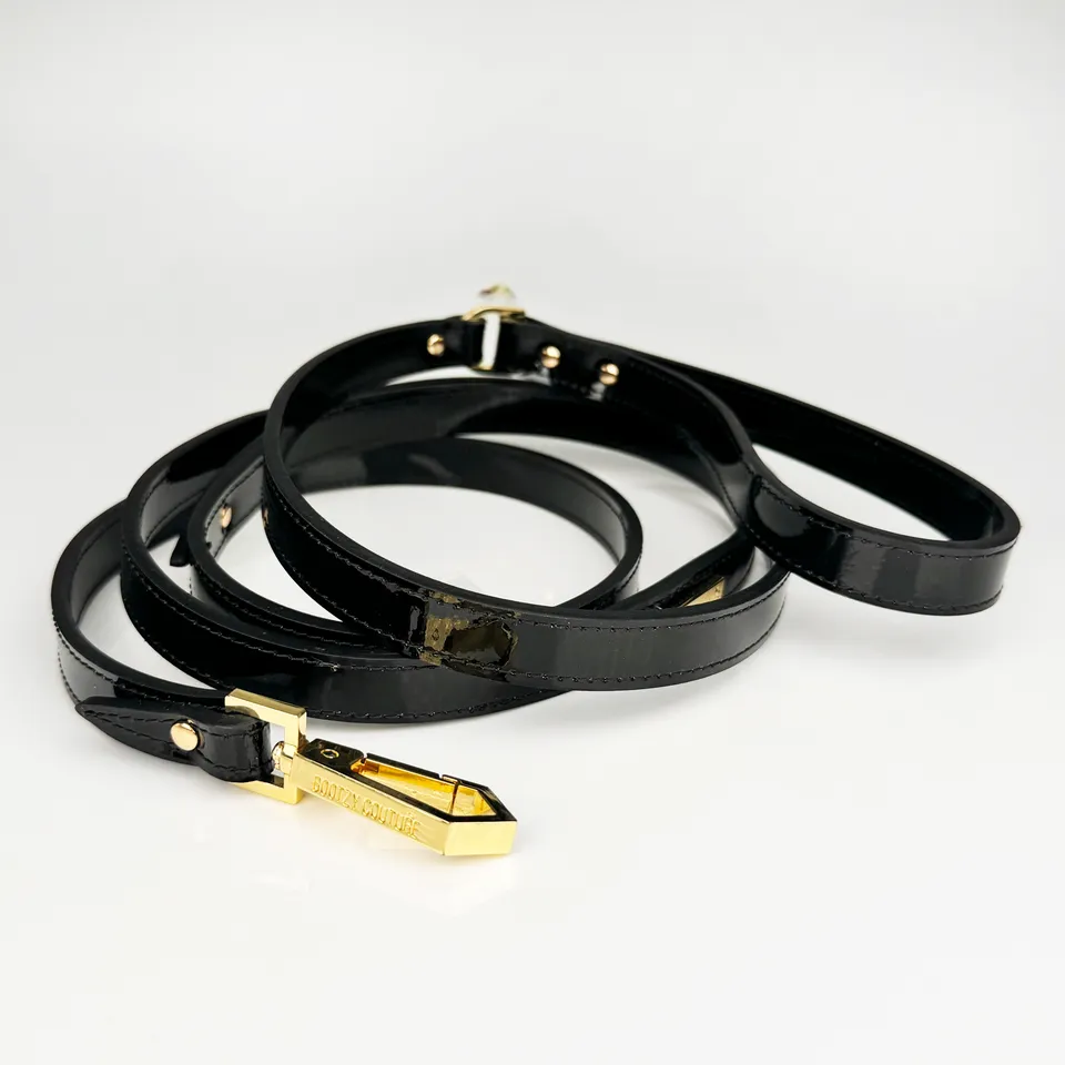 fr-ulein-kink-do-the-stride-leine-leder-schwarz-mit-gold image 1