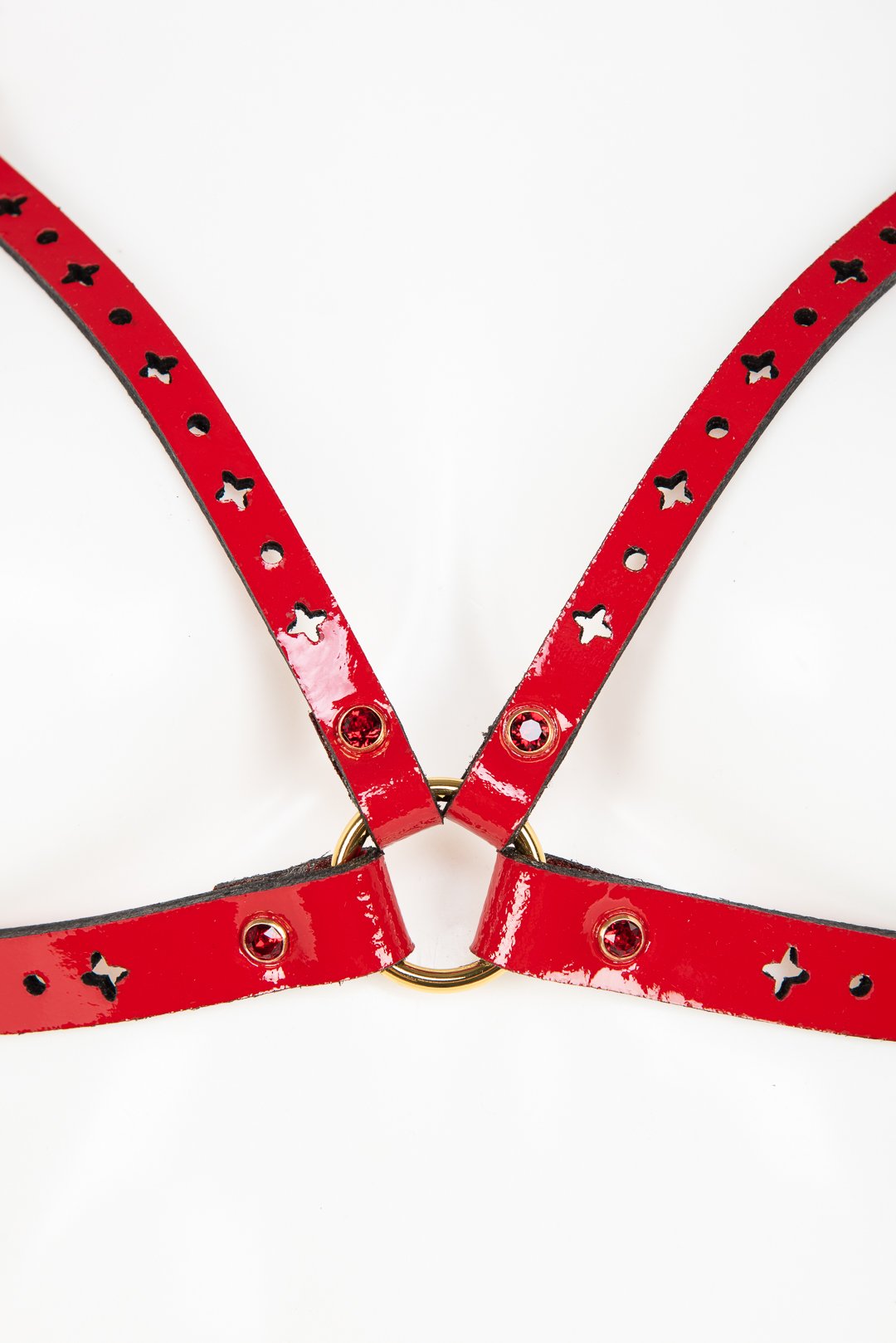 fr-ulein-kink-harnesses-rosso-cage-harness-bh-rot-kristall image 3