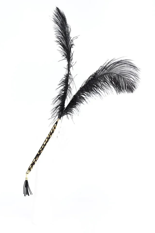 fr-ulein-kink-deluxe-federteaser-schwarz-strau-gold image 1