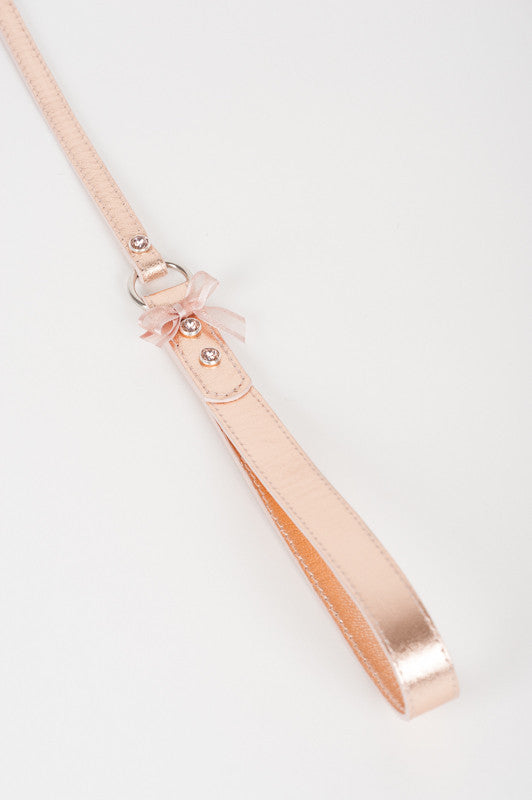 fr-ulein-kink-lolita-silver-lead-halsband-ros-mit-leine image 3