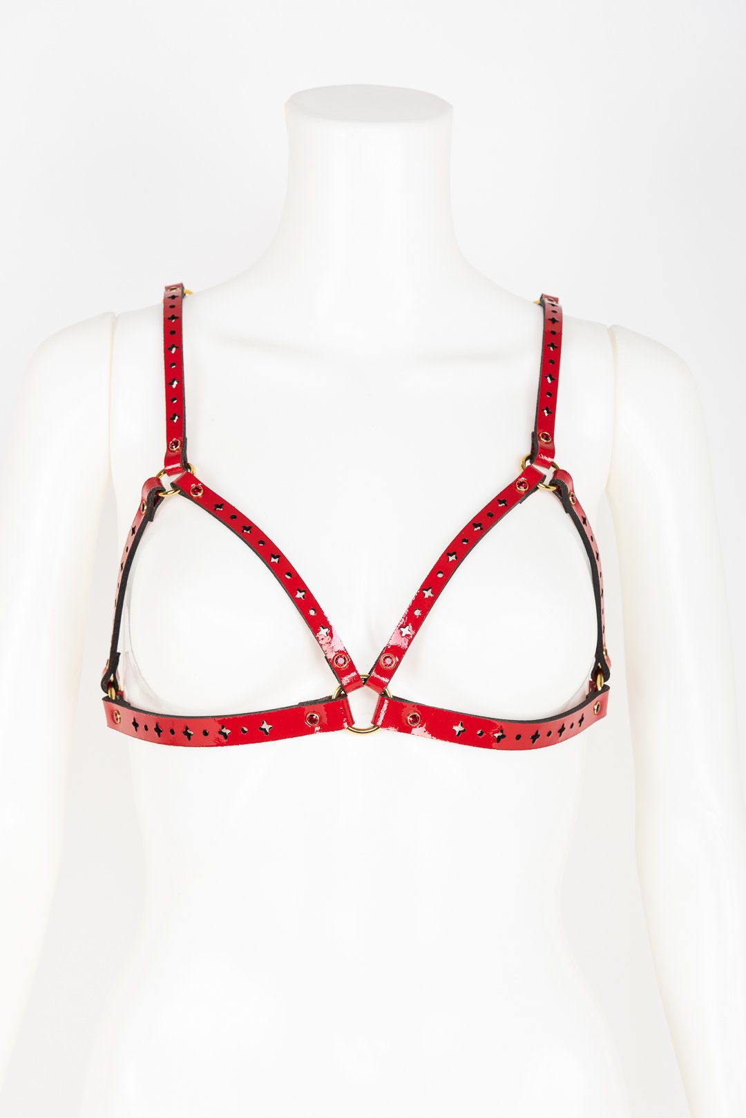 fr-ulein-kink-harnesses-rosso-cage-harness-bh-rot-kristall image 1