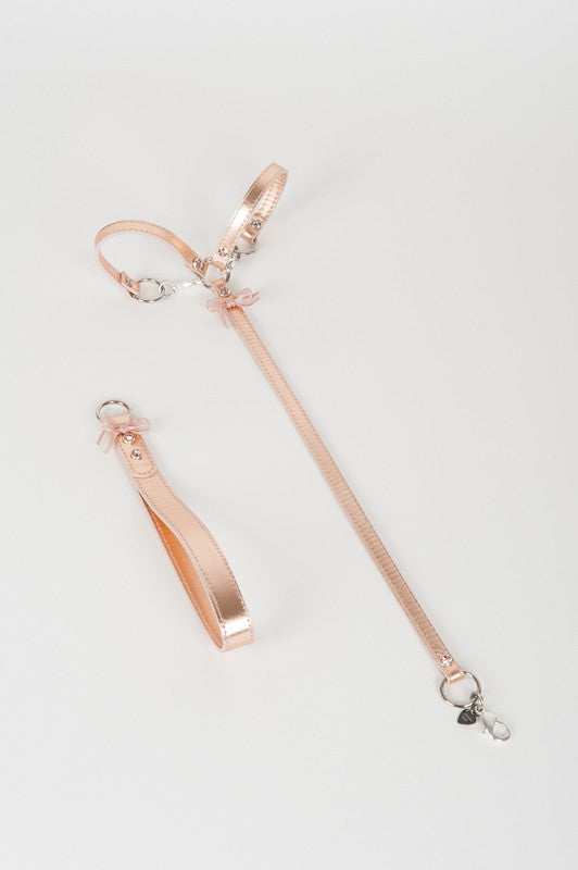 fr-ulein-kink-lolita-silver-t-strap-fesseln-rosegold-leder image 3