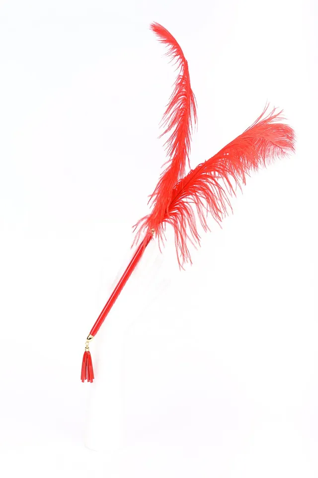 fr-ulein-kink-roja-teaser-federkitzler-rot-strau-mit-griff image 1