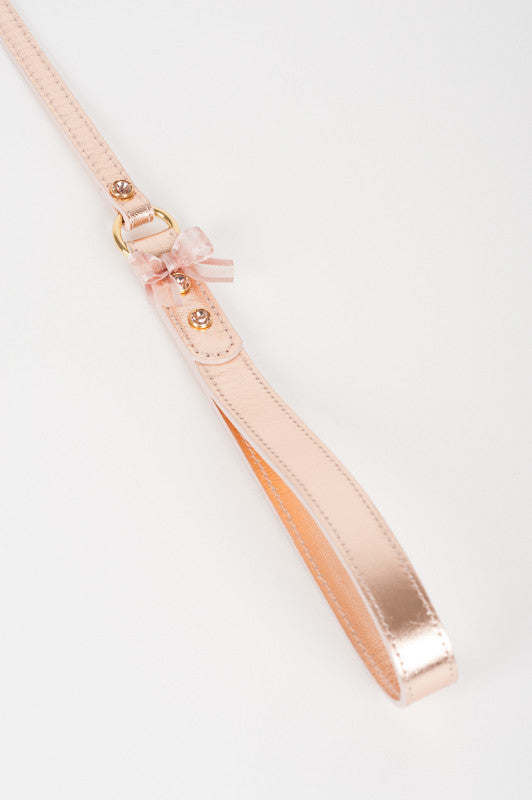 fr-ulein-kink-collars-lolita-lead-halsbandleine-rosegold image 3