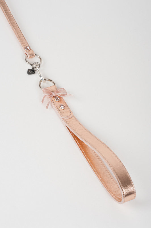 fr-ulein-kink-lolita-silver-t-strap-fesseln-rosegold-leder image 2