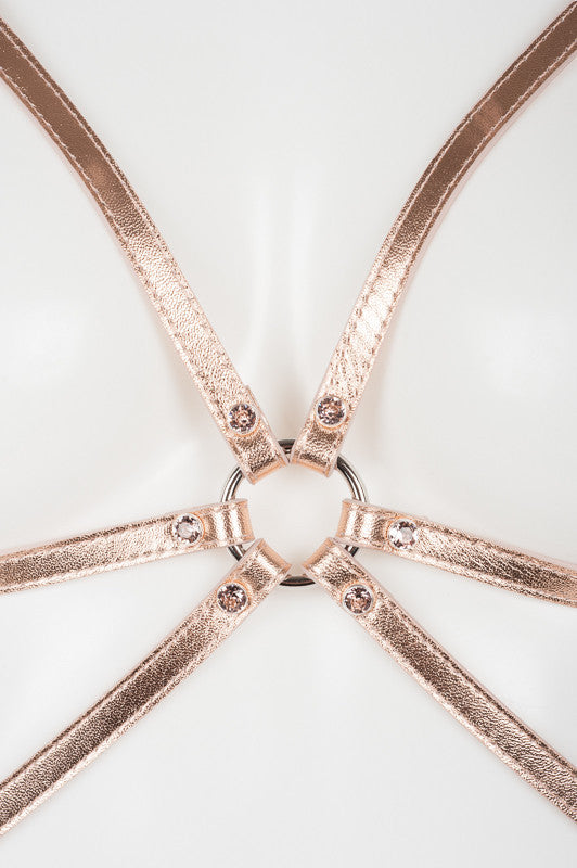 fr-ulein-kink-lolita-cage-bra-k-fig-bh-ros-gold image 3