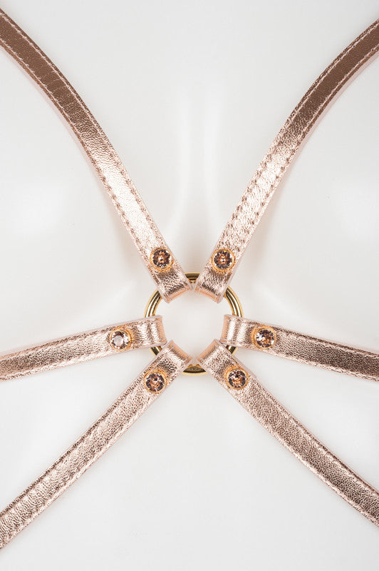 fraulein-kink-lingerie-lolita-cage-bh-rosegold-leder image 3