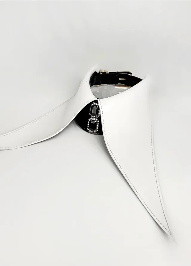fraulein-kink-collars-leather-collar-halsband-lackleder-gr-e-m image 1