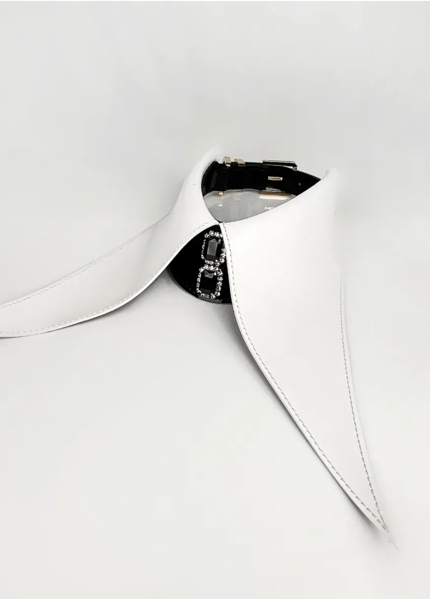 fraulein-kink-collars-leather-collar-halsband-lackleder-gr-e-m image 1