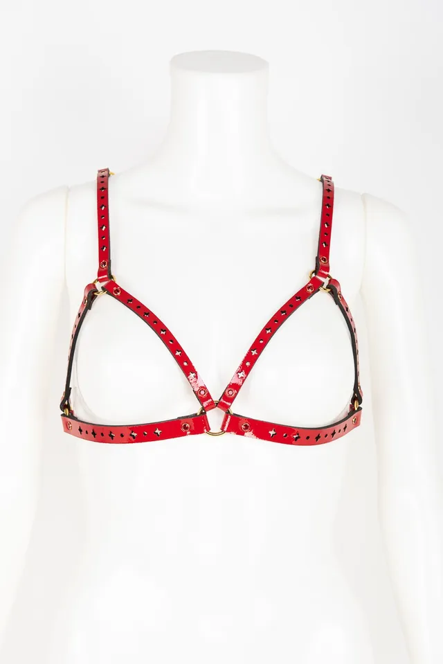 fr-ulein-kink-harnesses-rosso-cage-harness-bh-rot-kristall image 1