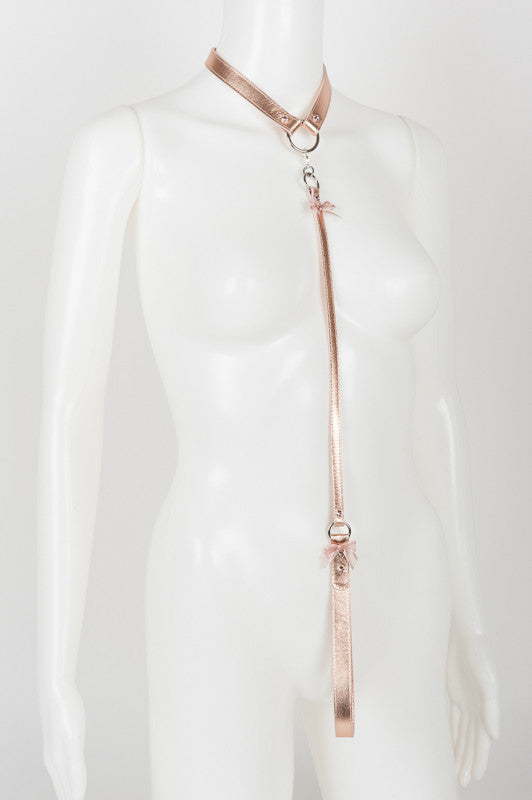 fr-ulein-kink-lolita-silver-lead-halsband-ros-mit-leine image 5