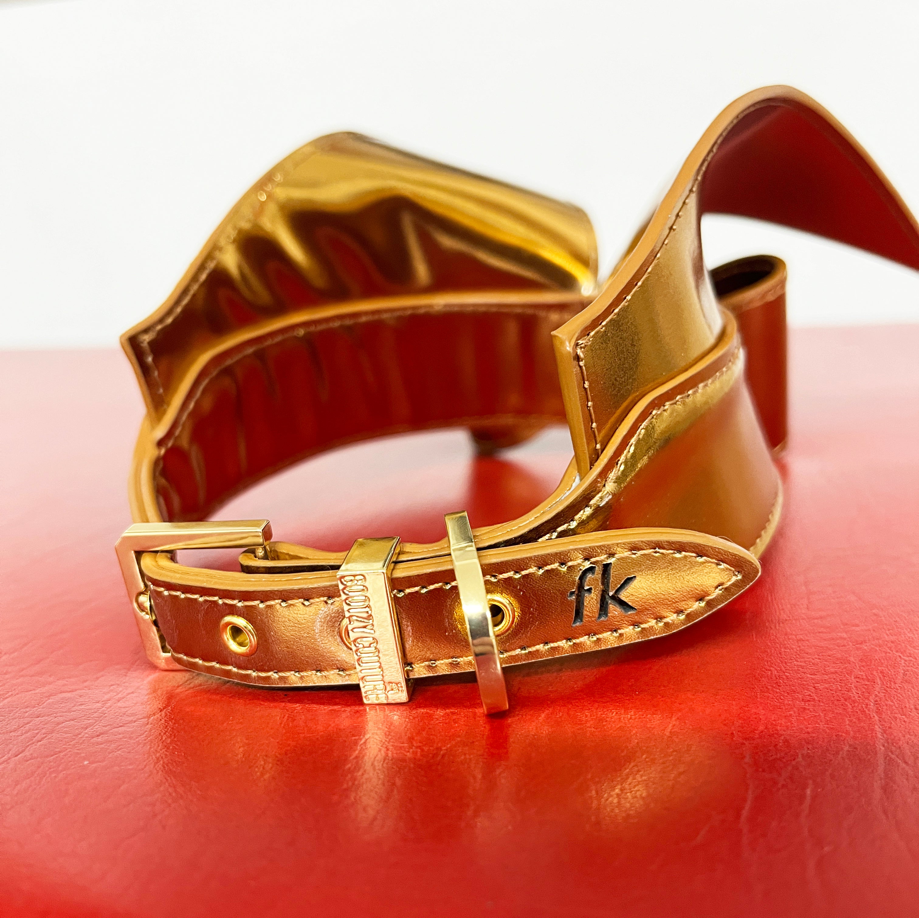 fr-ulein-kink-golden-meister-collar-halsband-gold image 2
