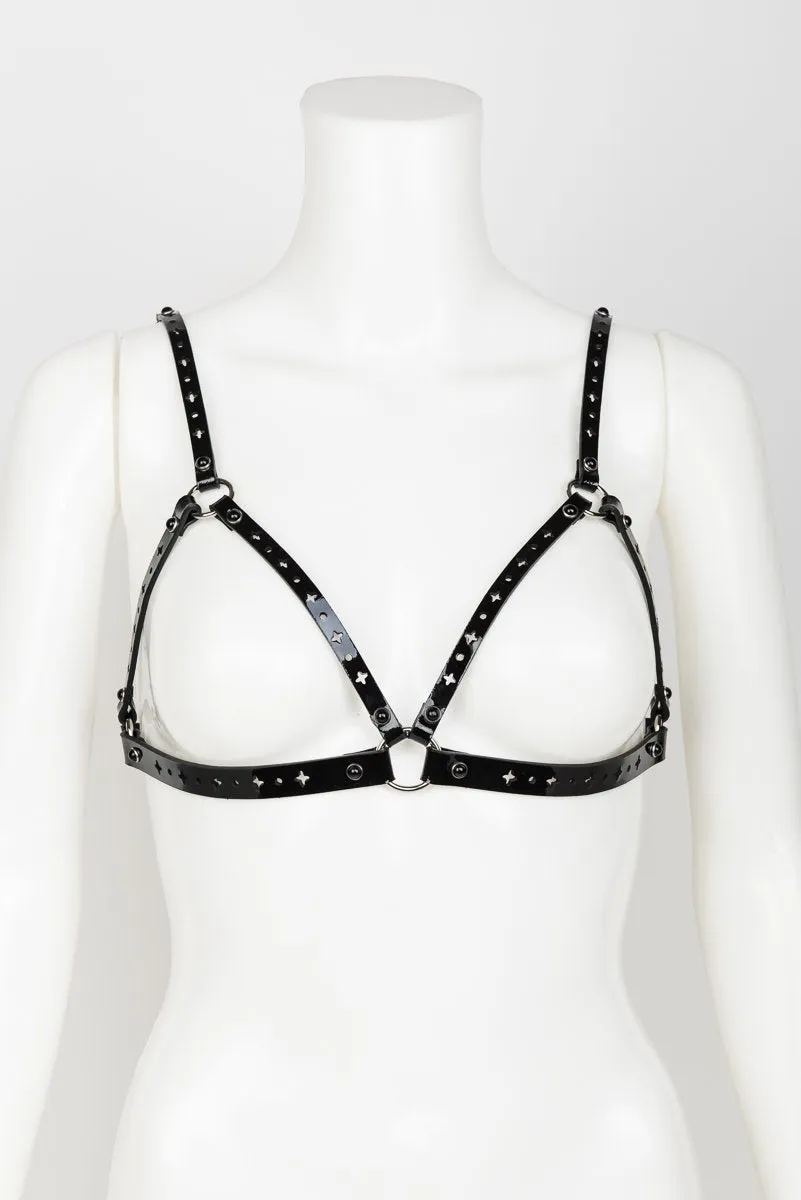 fr-ulein-kink-nero-cage-harness-bh-lackleder image 1