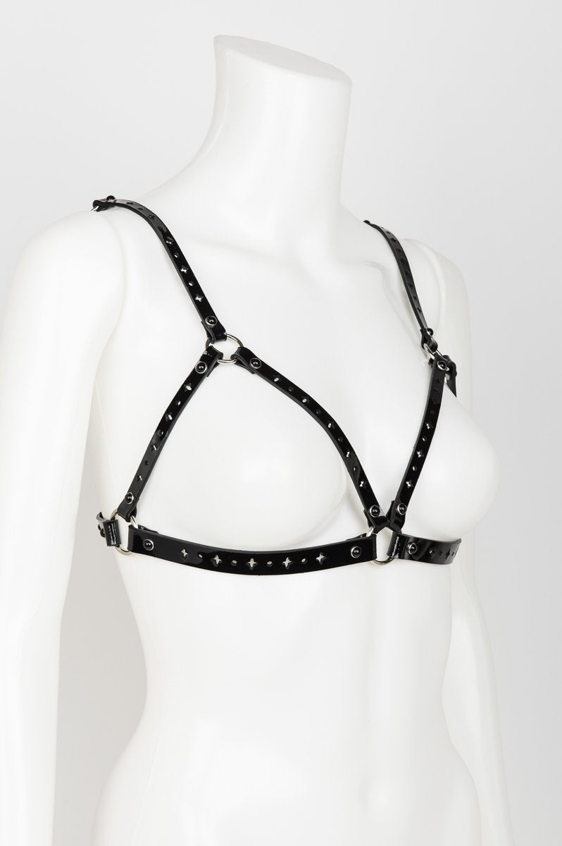 fr-ulein-kink-nero-cage-harness-bh-lackleder image 4