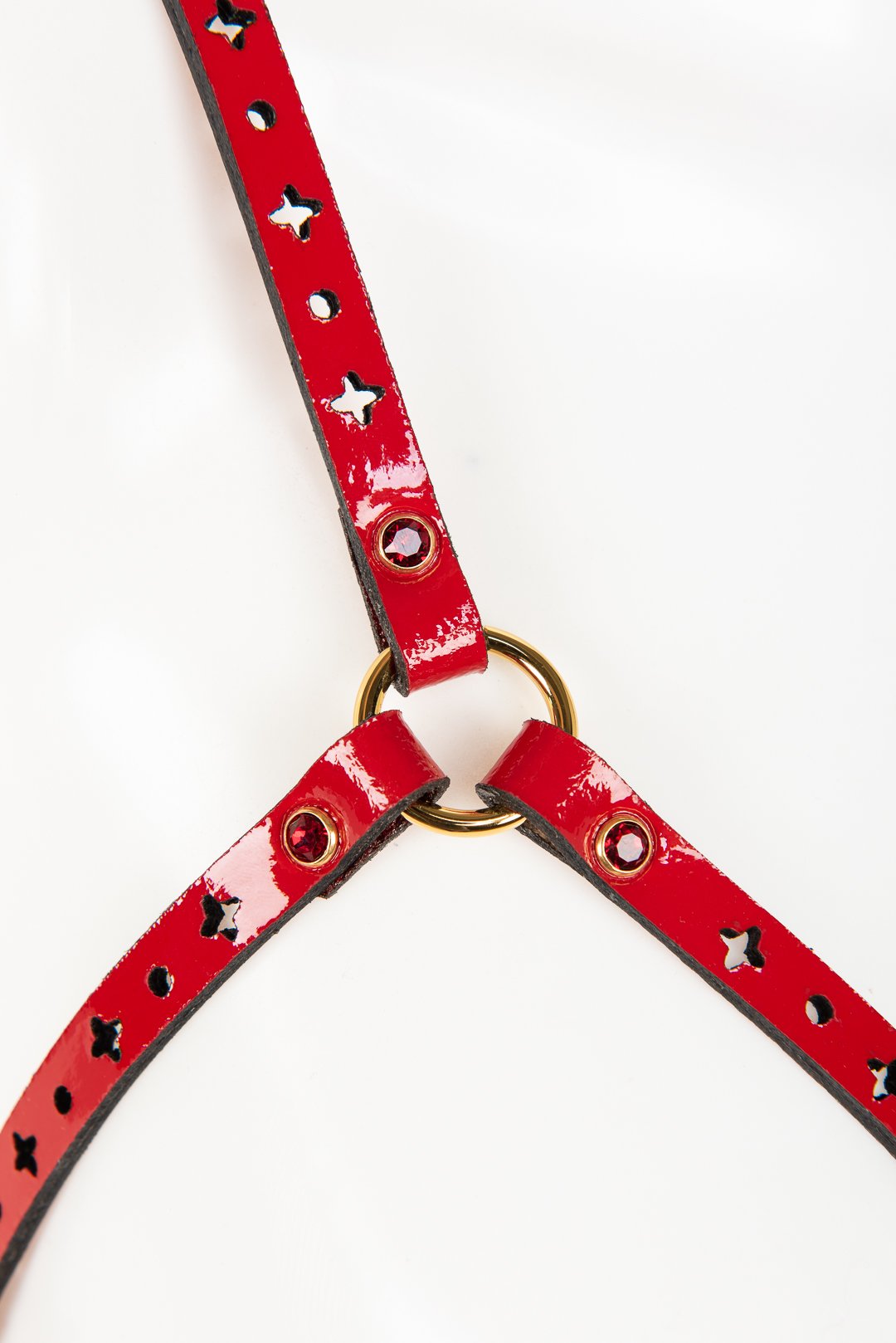 fr-ulein-kink-harnesses-rosso-cage-harness-bh-rot-kristall image 4
