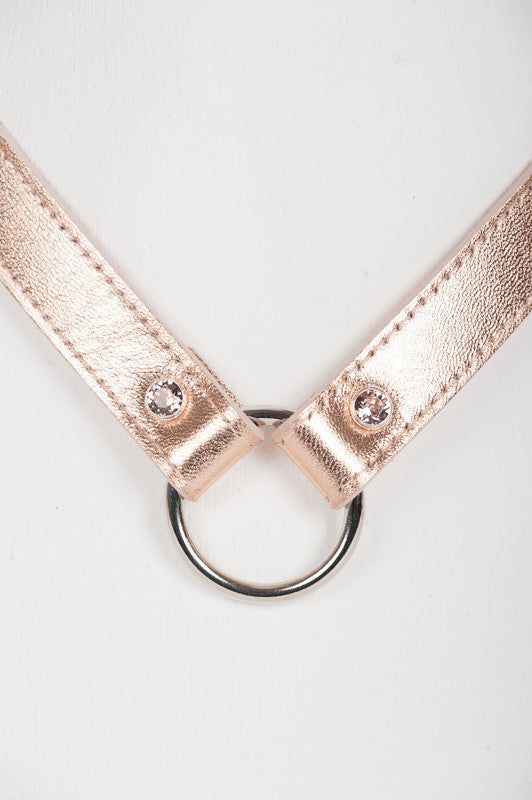 fr-ulein-kink-lolita-silver-lead-halsband-ros-mit-leine image 4